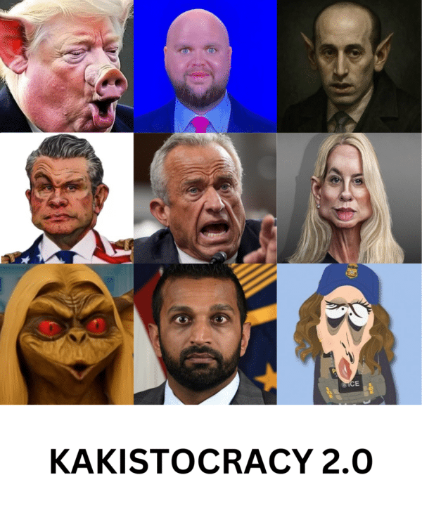 Fragile Ego Snowflake Admin