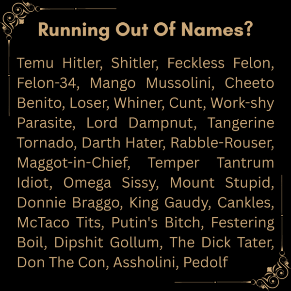 Synonyms for an imbecile