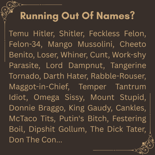 The Temu Hitler Thesaurus Edition
