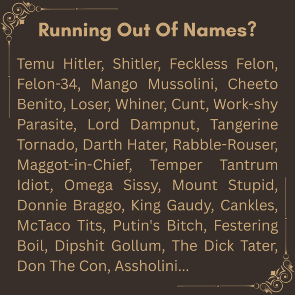 The Temu Hitler Thesaurus Edition 2.0