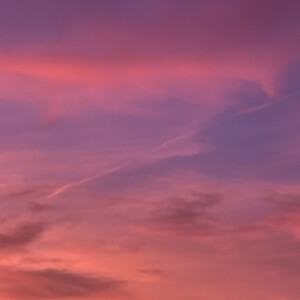 Traum_In_Pink_Matthias_Rimpler