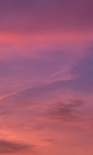 Traum_In_Pink_Matthias_Rimpler
