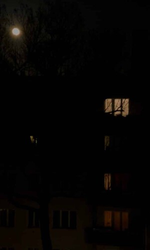 Windows_By_Night_Matthias_Rimpler