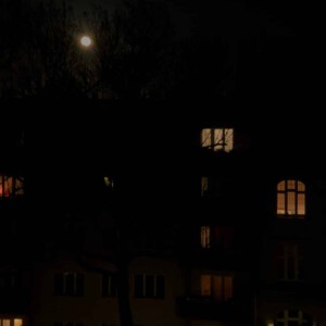 Windows_By_Night_Matthias_Rimpler